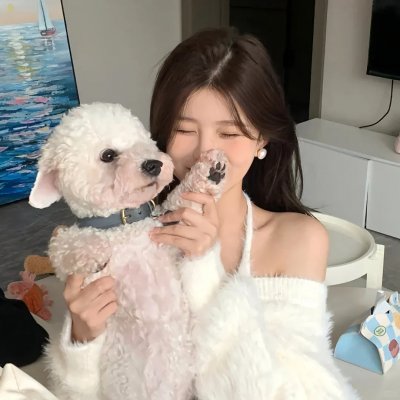 三只流浪猫